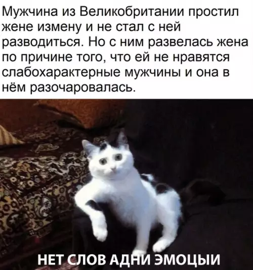Смешная картинка №391890