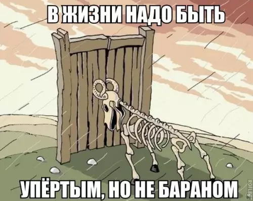 Смешная картинка №246002