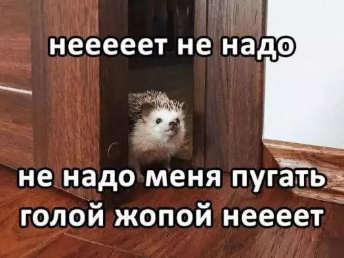 Смешная картинка №797686