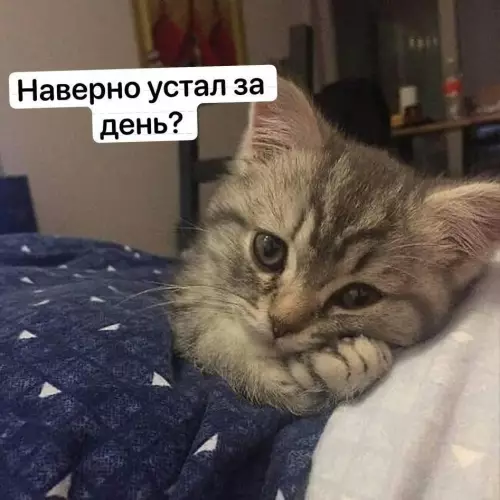 Смешная картинка №793366