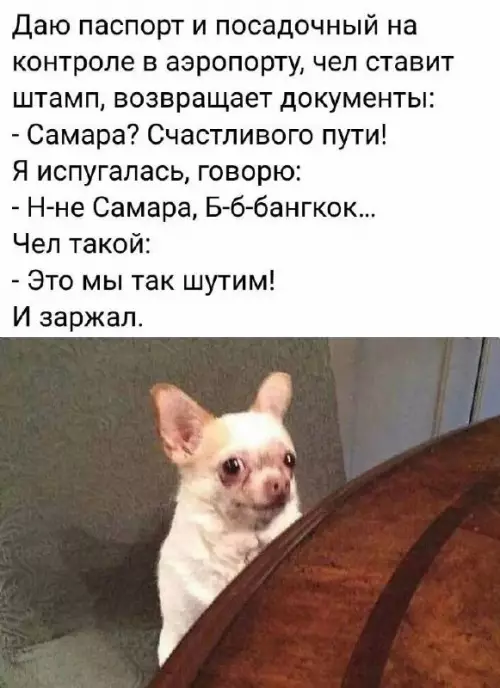Смешная картинка №701951