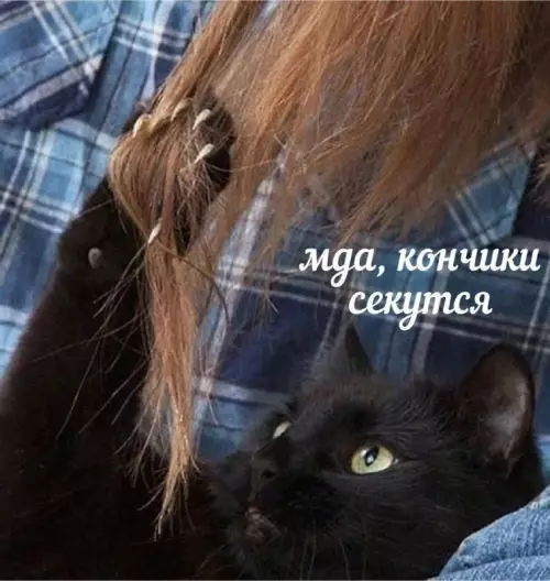 Смешная картинка №661703