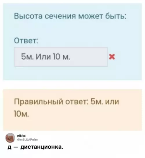 Смешная картинка №487948 Дистaнционное обyчeние бecпощадно.