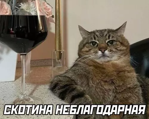 продолжение Смешная картинка №675399 Животные