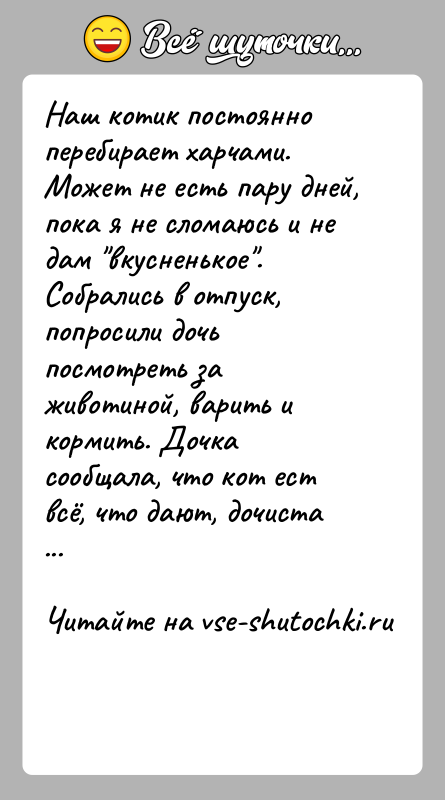 История: Наш котик постоянно перебирает харчами. Может не есть пару дней, пока я не сломаюсь и не дам вкусненькое .Собрались в отпуск,