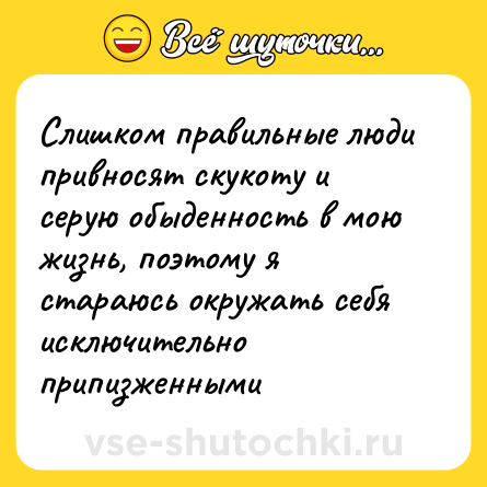 Шутка: Слишком правильные люди привносят скукоту и серую обыденность в мою жизнь, поэтому я стараюсь окружать себя исключительно припизженными
