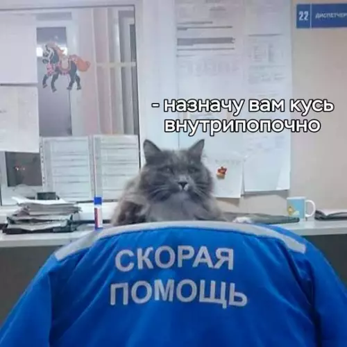 Смешная картинка №762732