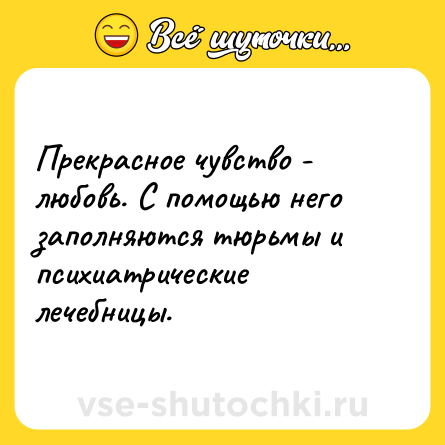 Шутка: Прекрасное чувство - любовь. С помощью него заполняются тюрьмы и психиатрические лечебницы.