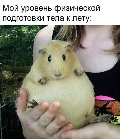 Смешная картинка №352530