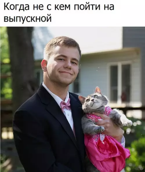 Смешная картинка №195155