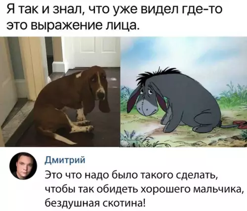 Смешная картинка №322576