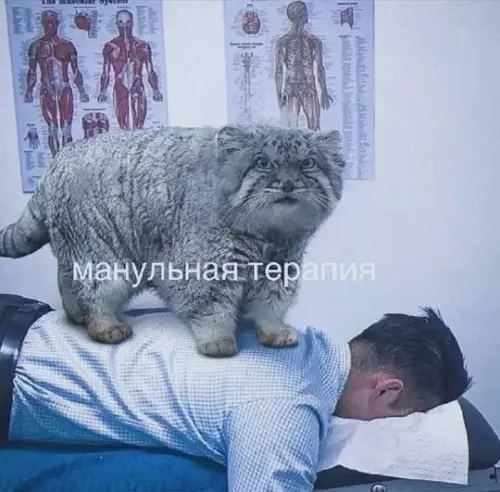 Смешная картинка №787991
