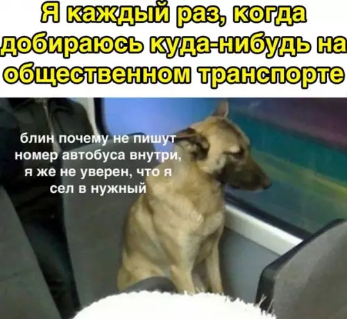 Смешная картинка №564114