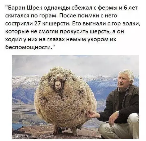 Смешная картинка №455608 Мой новый герой