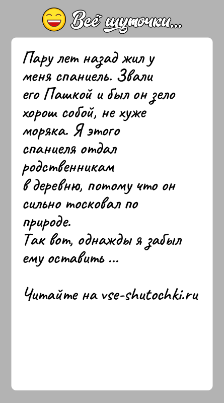История: Пару лет назад жил у меня спаниель. Звали его Пашкой и был он зелохорош собой, не хуже моряка. Я этого