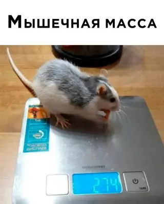 Смешная картинка №670150