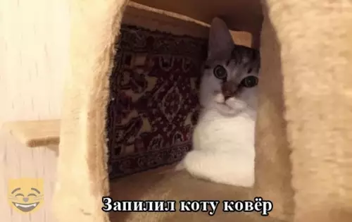 Смешная картинка №352028 #приколы #картинки #мемы ?