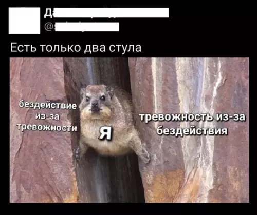 Смешная картинка №752741