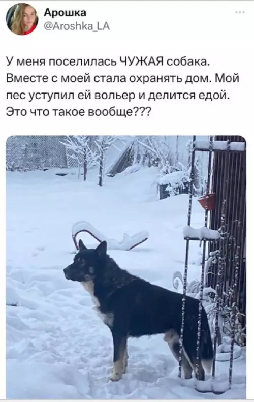 Смешная картинка №707293