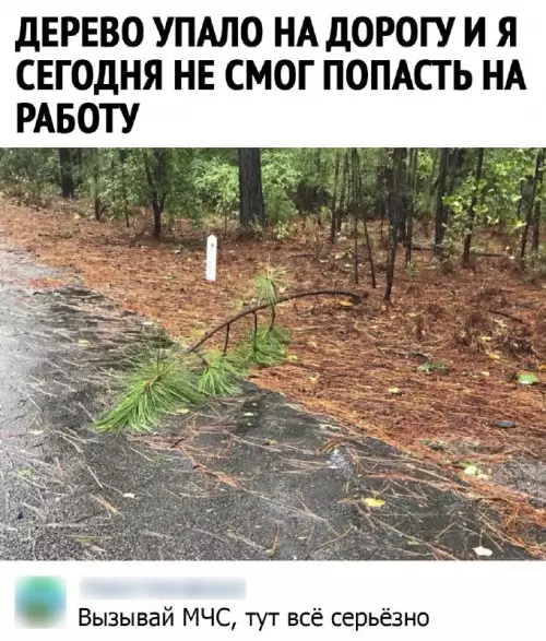 Смешная картинка №662939 Работа 