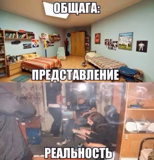 Смешная картинка №206335