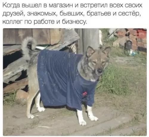 Смешная картинка №366463 Было с каждым