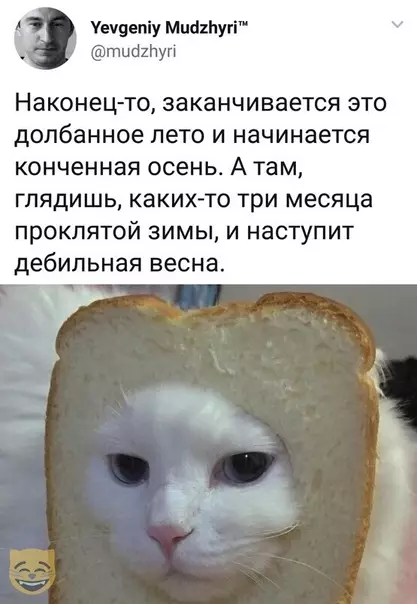 Смешная картинка №382471 #приколы #картинки #мемы ?