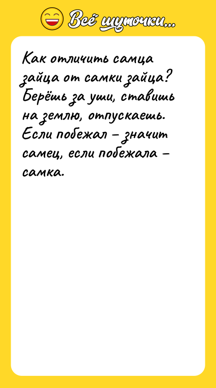 Как отличить самца зайца от самки зайца? Берёшь за уши,