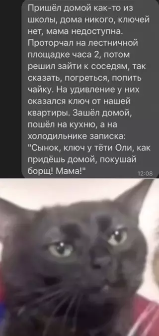Смешная картинка №705001