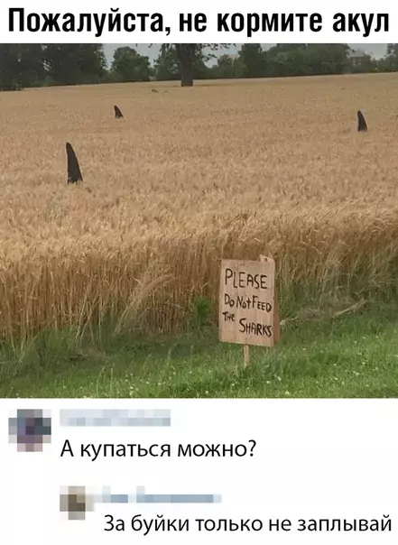 Смешная картинка №365960