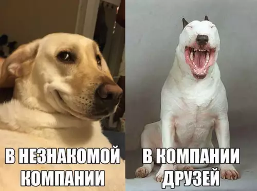 Смешная картинка №299125