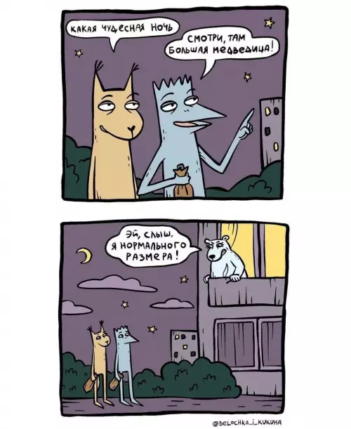 Ночная наблюдательность