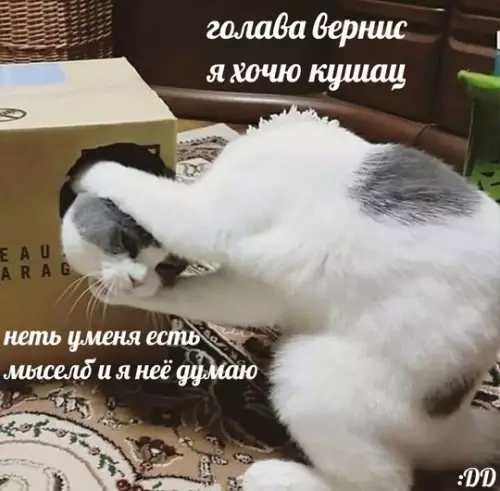 Смешная картинка №764049