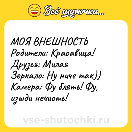 Шутка: МОЯ ВНЕШНОСТЬ <br>Родители: Красавица! <br>Друзья: Милая <br>Зеркало: Ну ниче так)) <br>Камера: Фу блять! Фу, изыди нечисть!