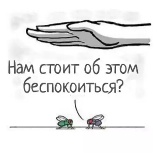 продолжение Смешная картинка №567329