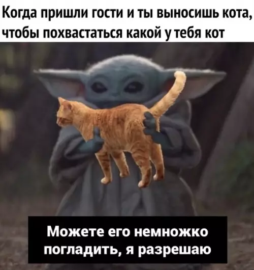 Смешная картинка №539037 Жизненно.