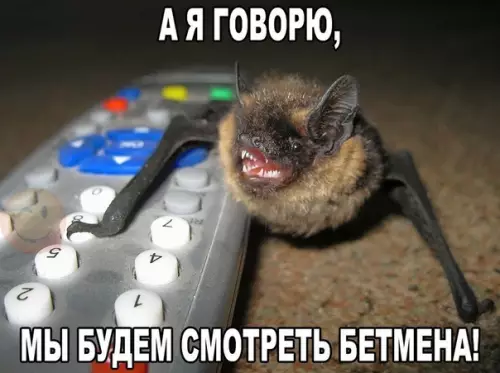 Смешная картинка №376268
