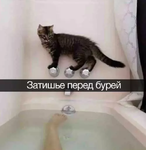 Смешная картинка №666448