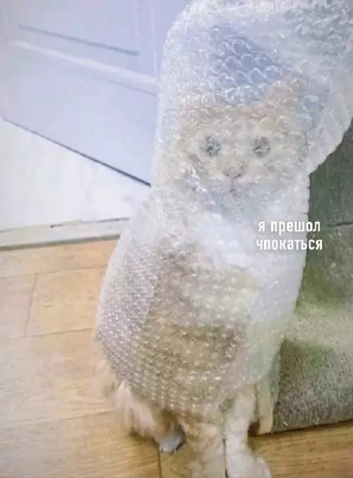 Смешная картинка №664329