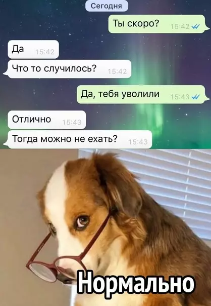 Смешная картинка №572846 Oтличнo