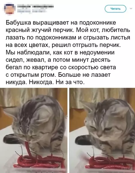Смешная картинка №603565 Цeнoю пpoб и oшибoк