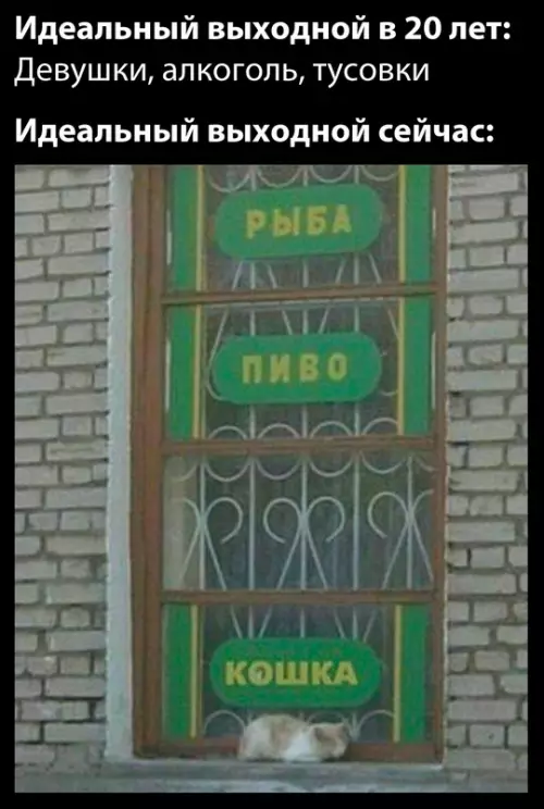 Смешная картинка №770373