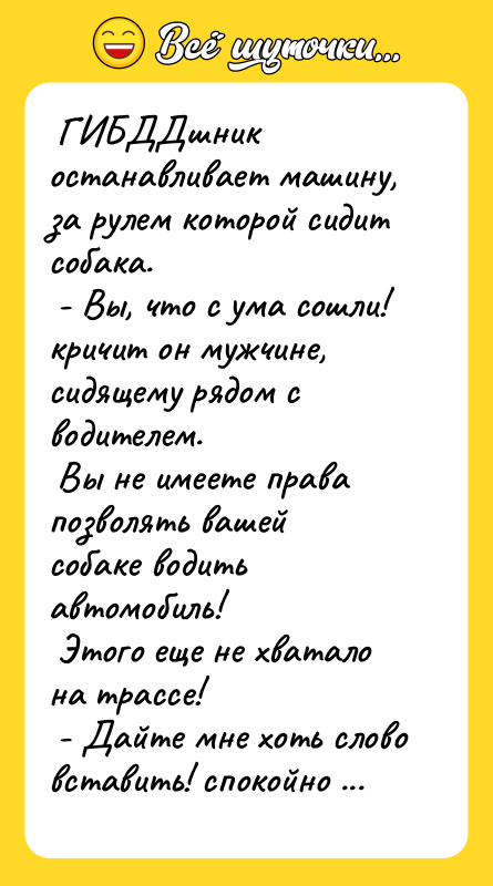 ГИБДДшник останавливает машину, за рулем которой сидит собака.
