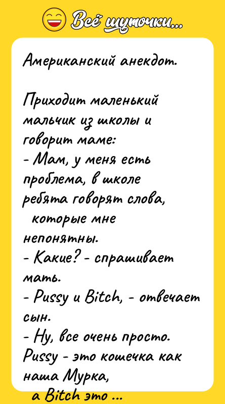 Американский анекдот.  Приходит маленький мальчик из школы и говорит