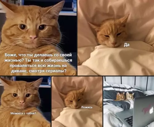 Смешная картинка №494618