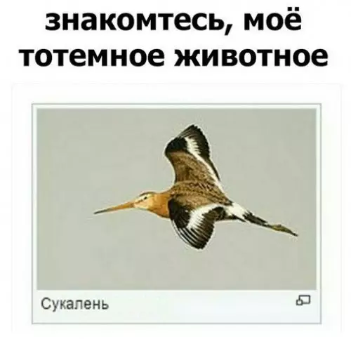 Смешная картинка №300709