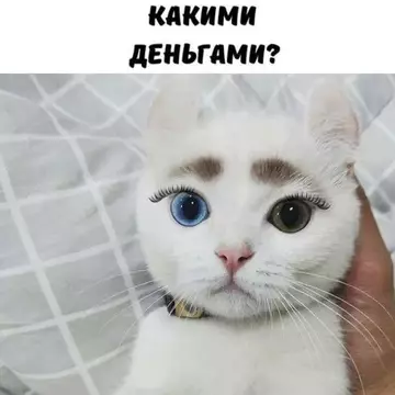 продолжение Смешная картинка №740784