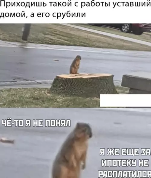 Смешная картинка №482309