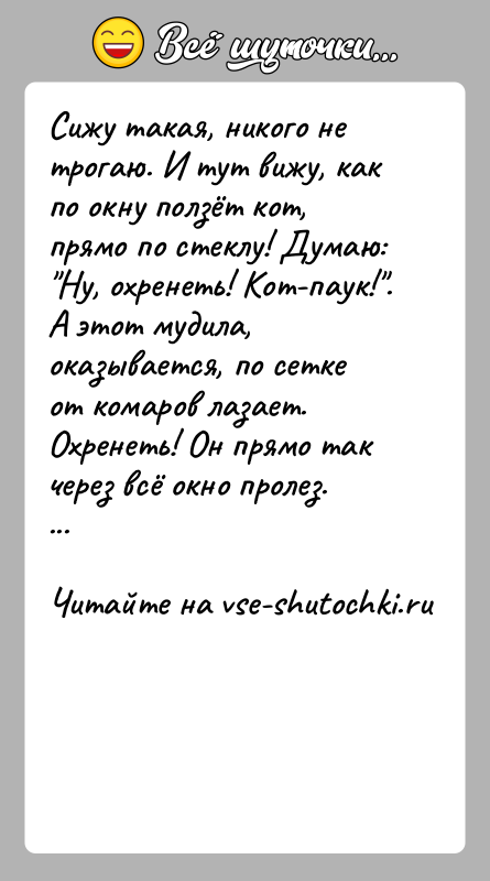 История: Сижу такая, никого не трогаю. И тут вижу, как по окну ползёт кот, прямо по стеклу! Думаю: Ну, охренеть! Кот-паук! .