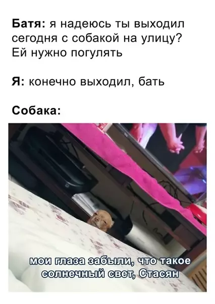 Смешная картинка №375580 Эх, Стасян